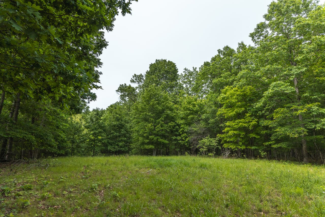 Listing Image 65