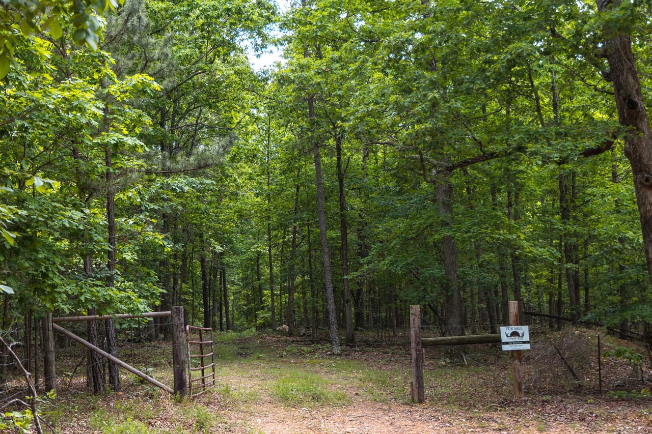 Listing Image 71