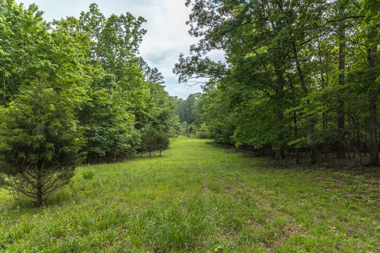 Listing Image 75