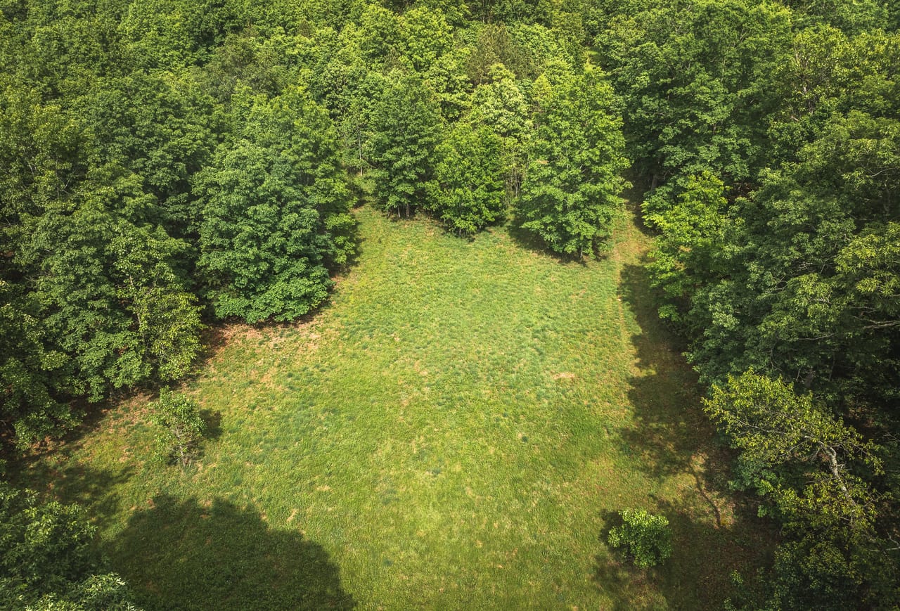 Listing Image 47