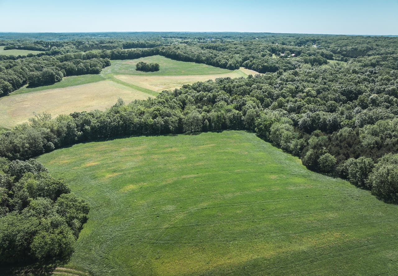 Listing Image 76