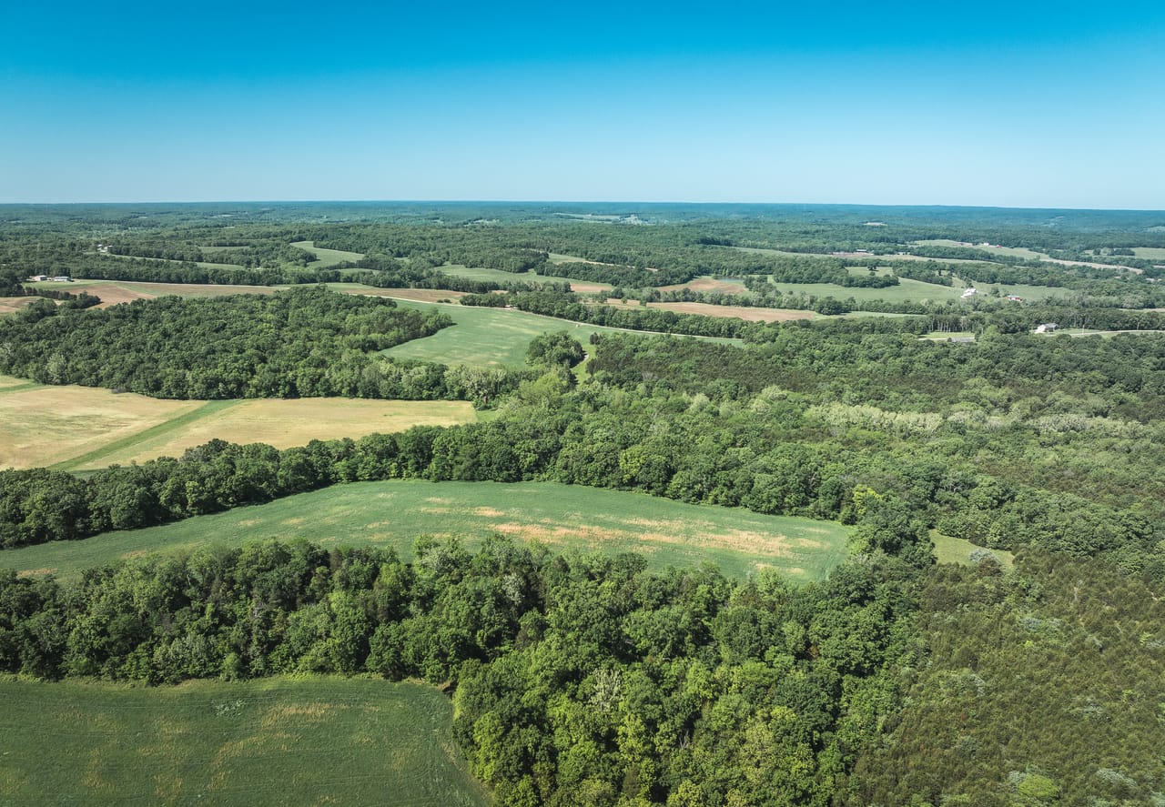 Listing Image 21