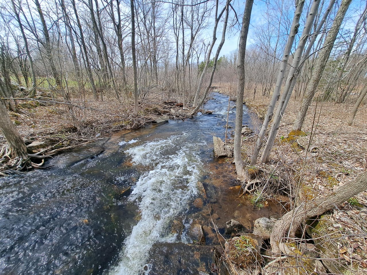 Listing Image 18