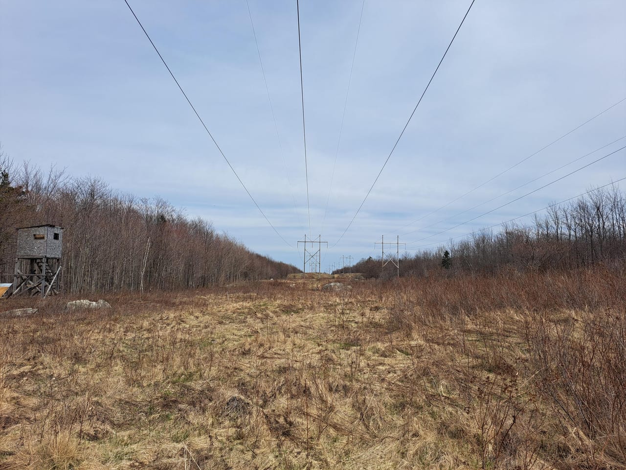 Listing Image 25