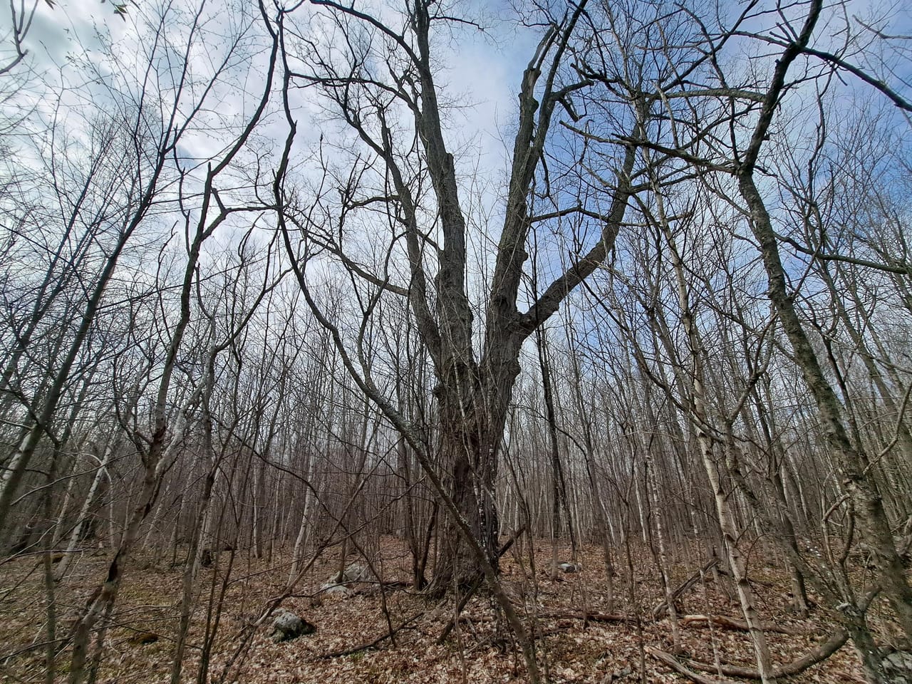 Listing Image 26