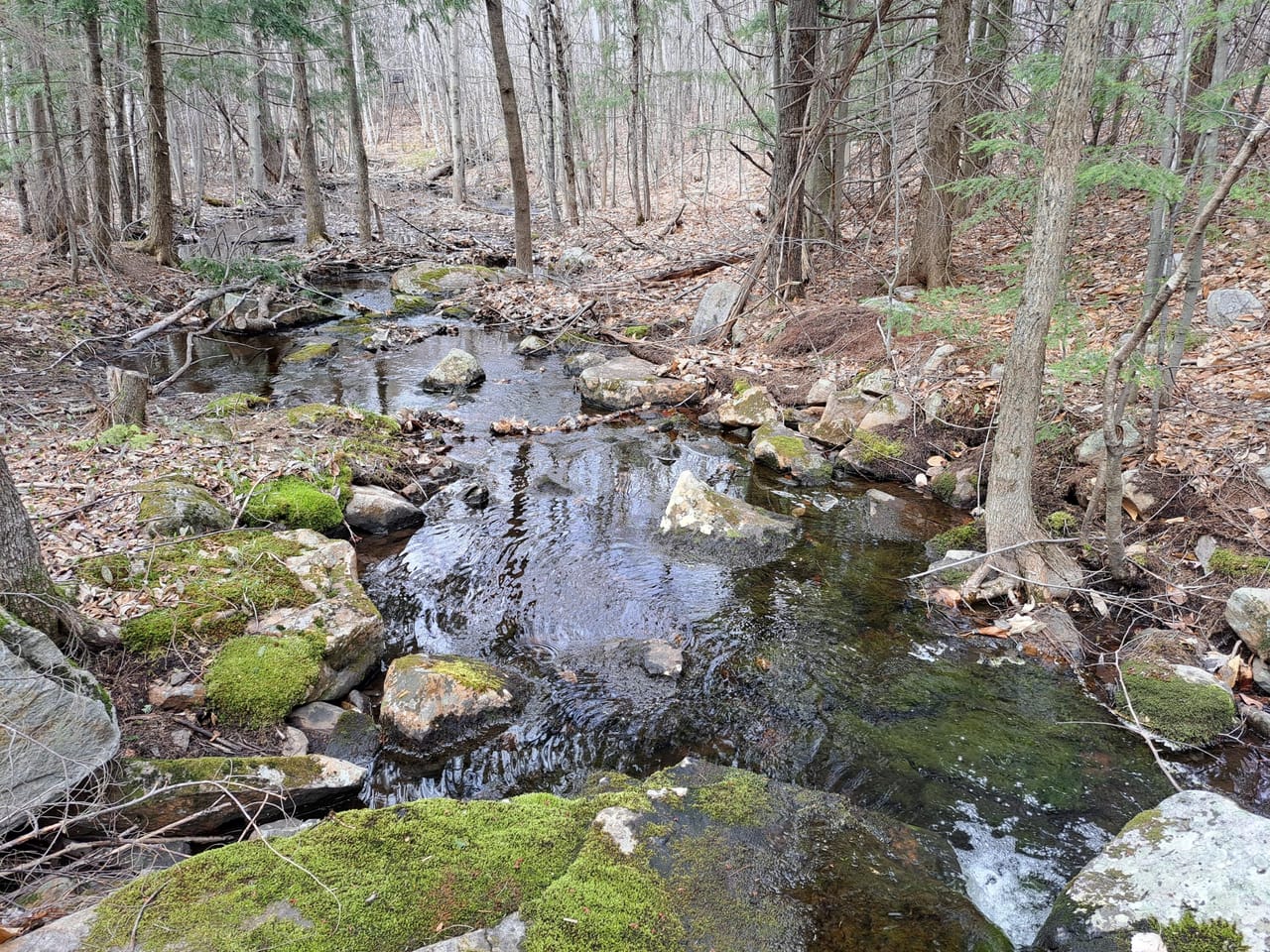 Listing Image 38