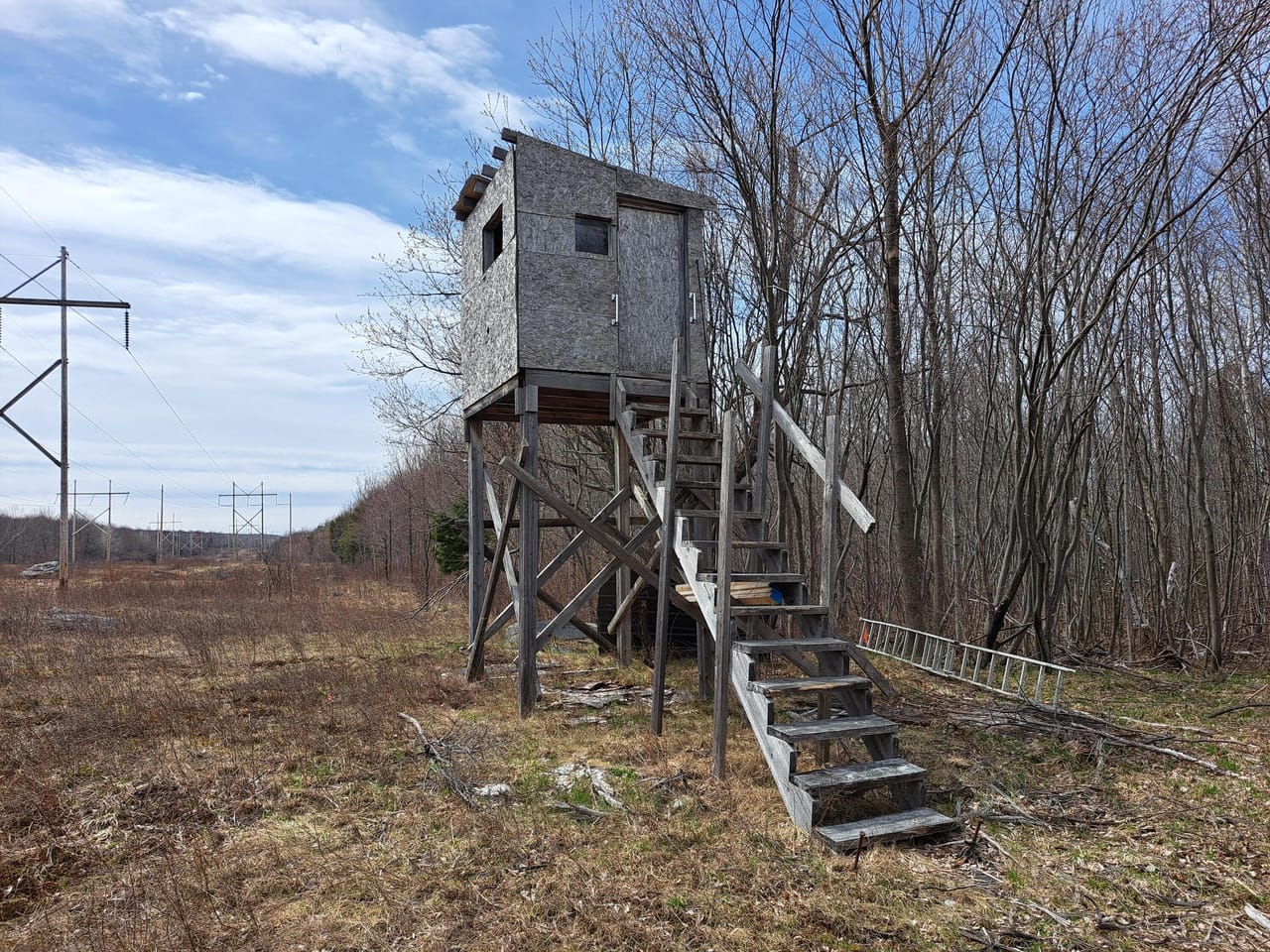 Listing Image 11