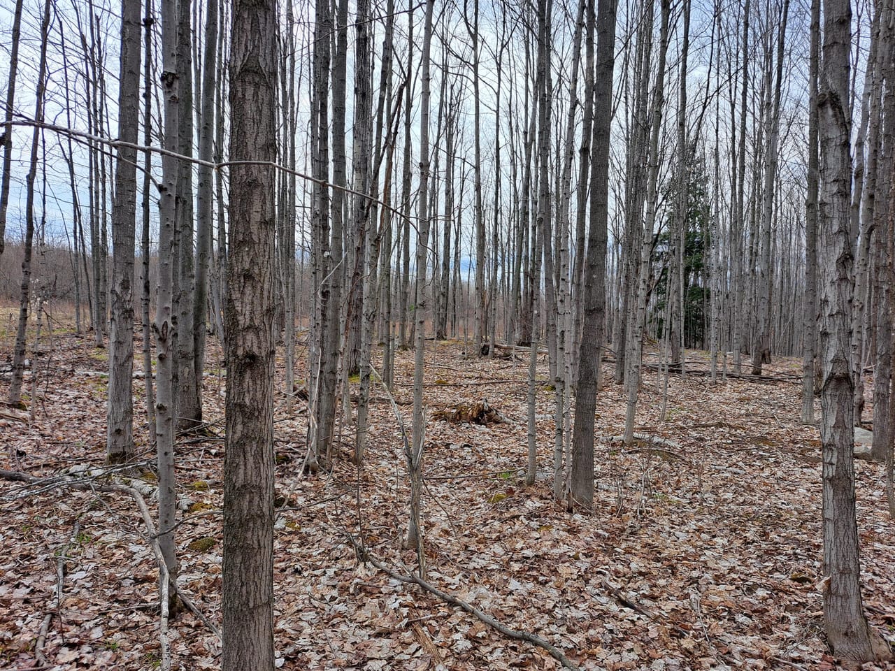 Listing Image 16