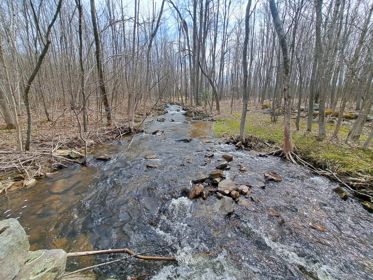 Listing Image 36