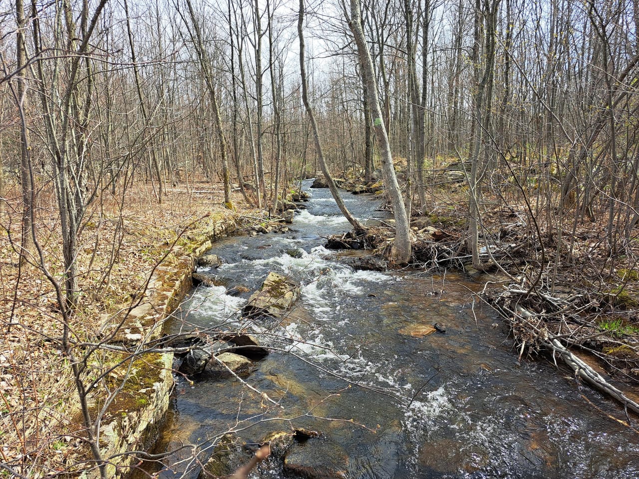 Listing Image 45