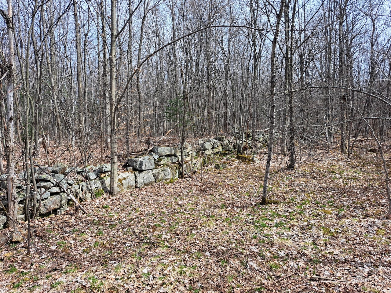 Listing Image 46