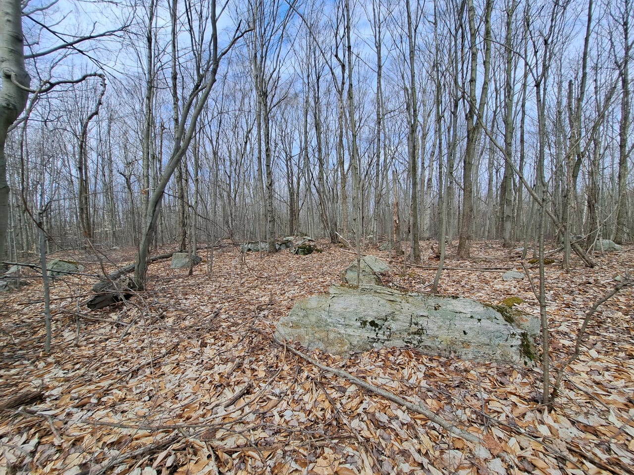 Listing Image 48