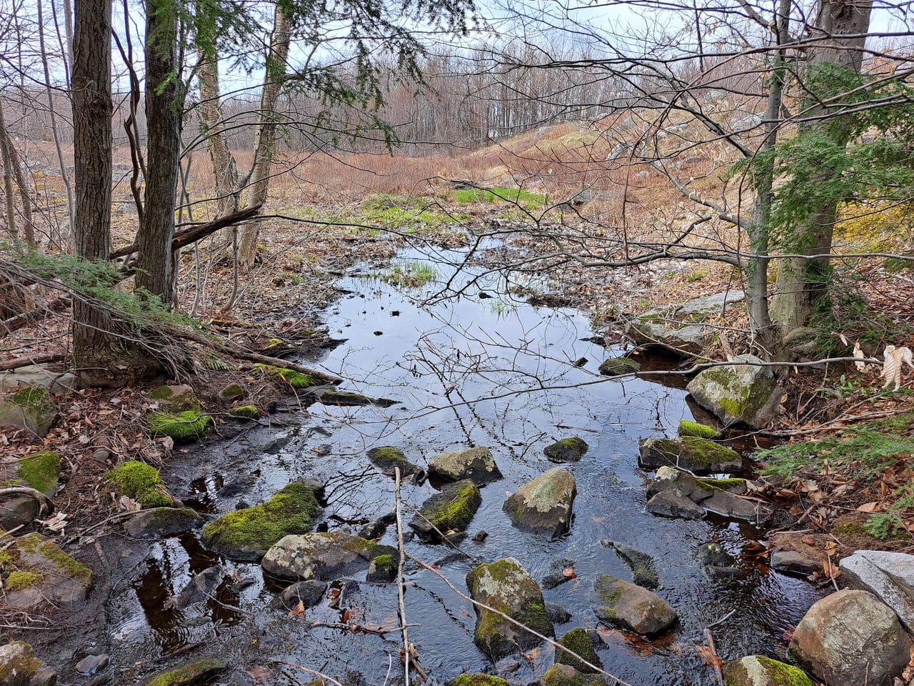 Listing Image 67