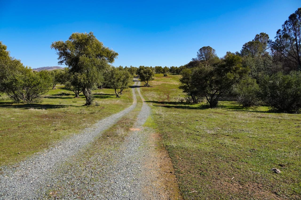 Listing Image 39