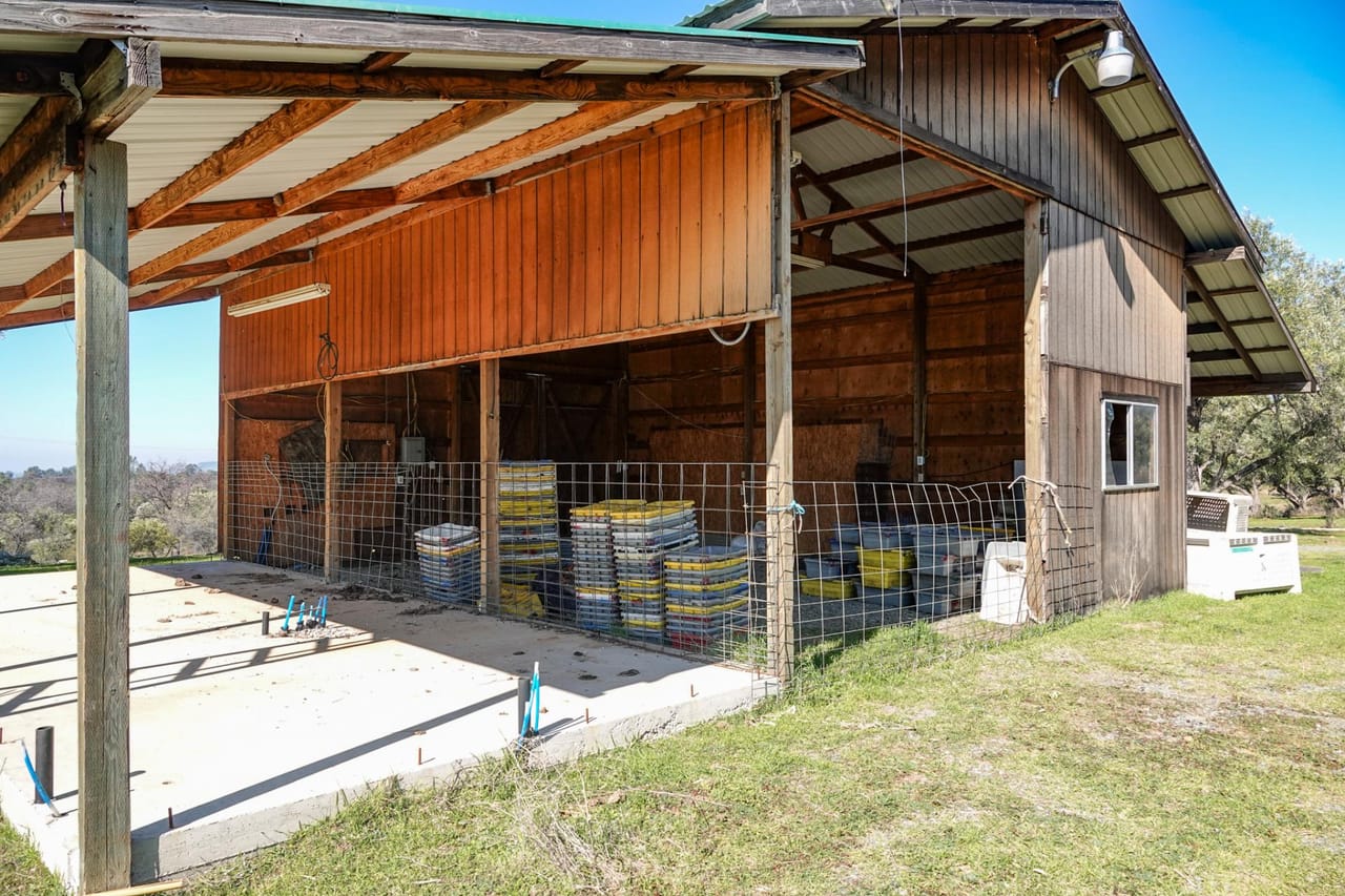 Listing Image 43