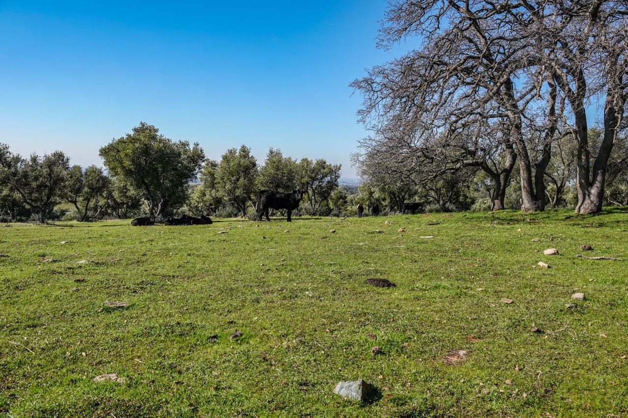 Listing Image 58