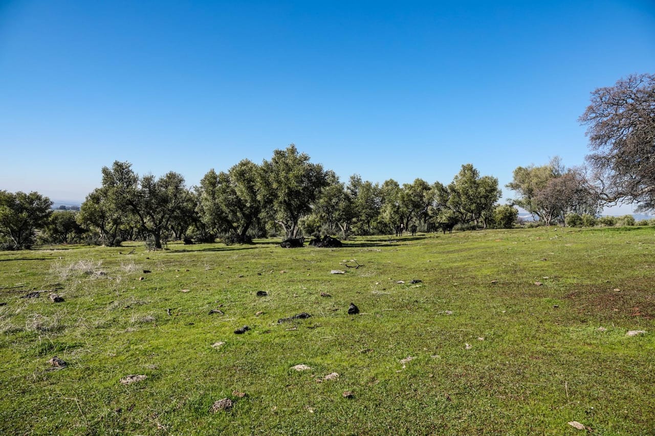 Listing Image 60