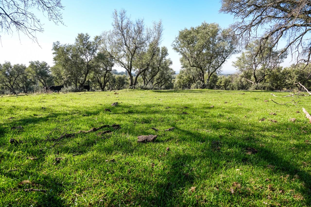 Listing Image 71