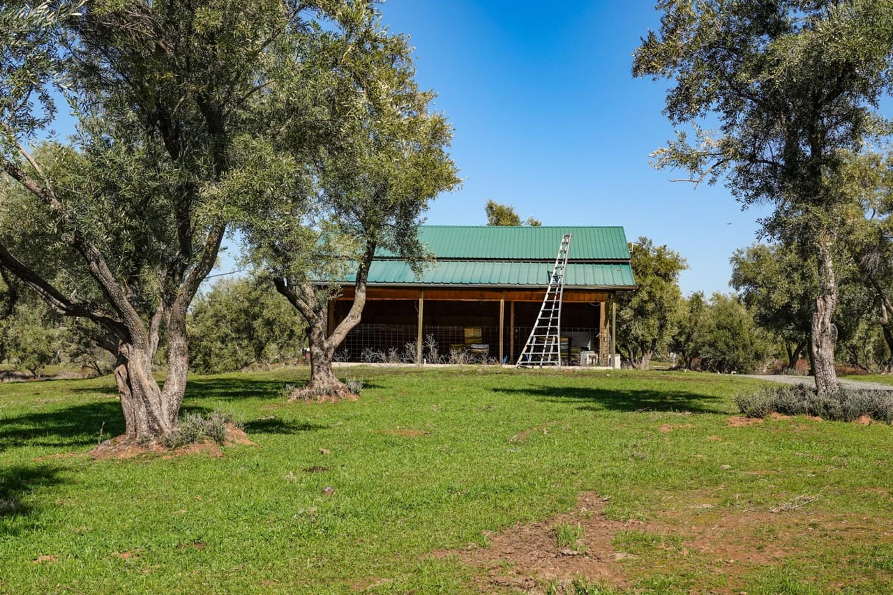 Listing Image 7