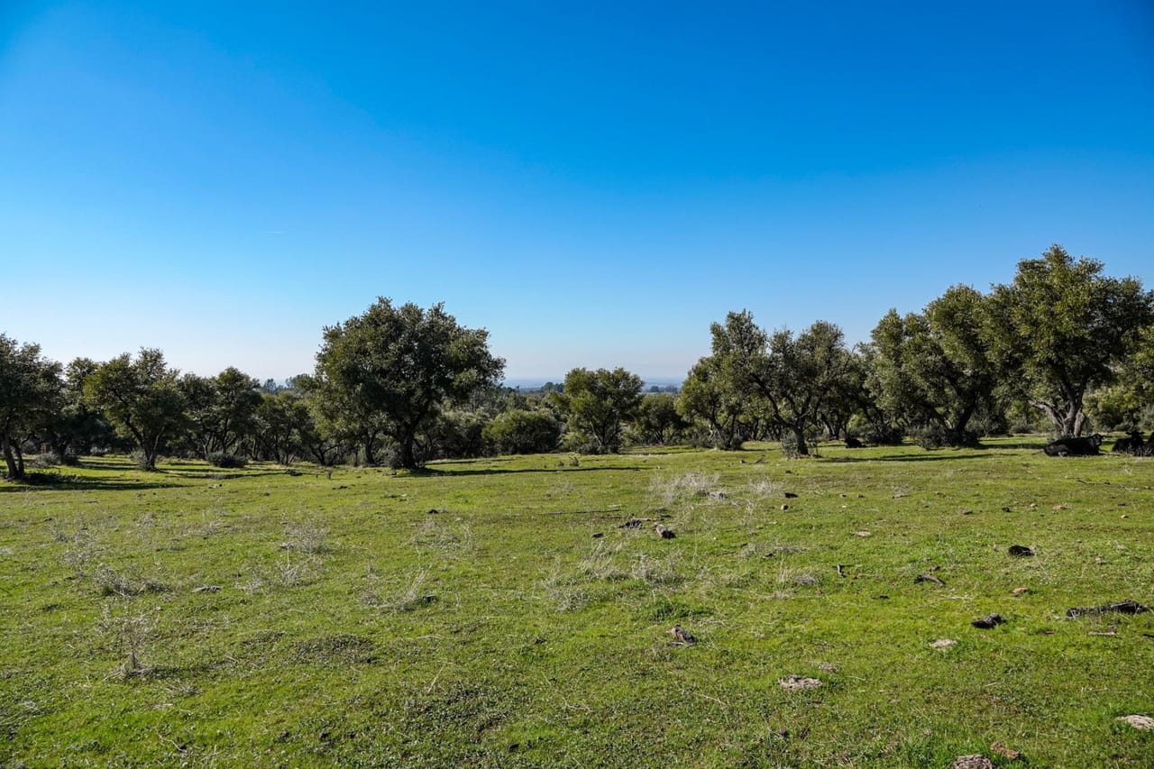 Listing Image 49
