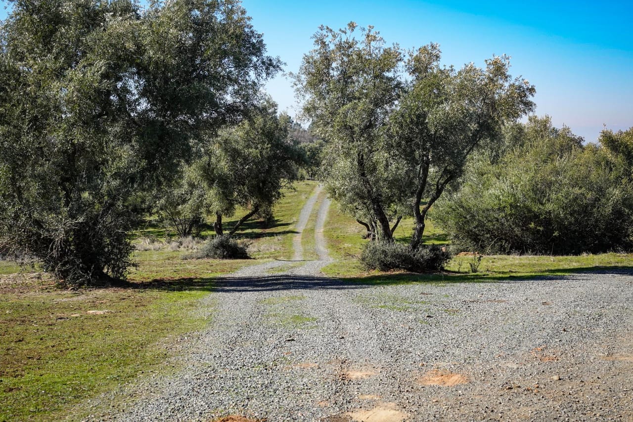 Listing Image 76