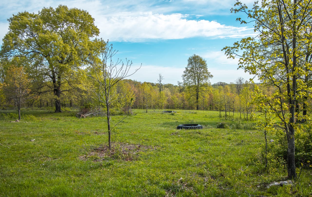 Listing Image 65