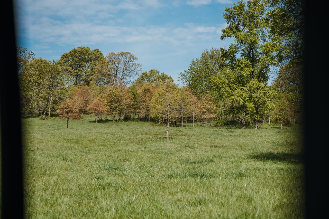 Listing Image 17
