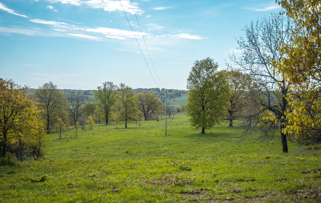 Listing Image 18