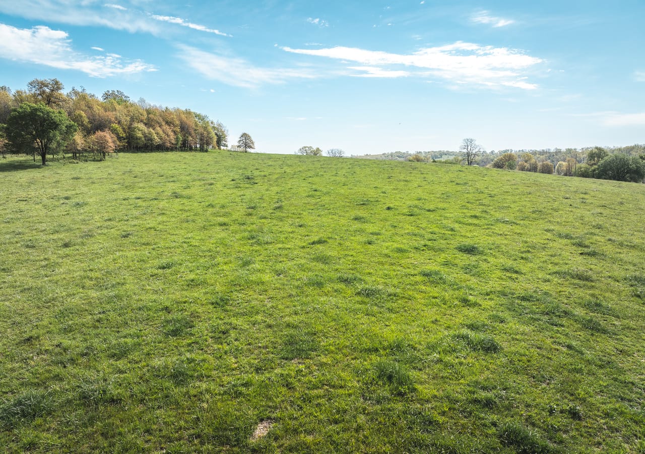 Listing Image 36