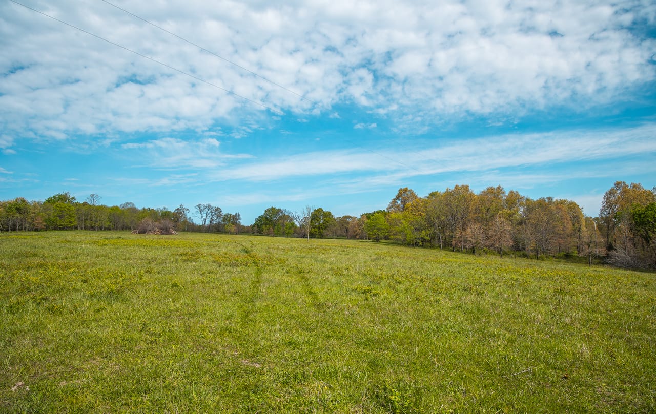 Listing Image 70