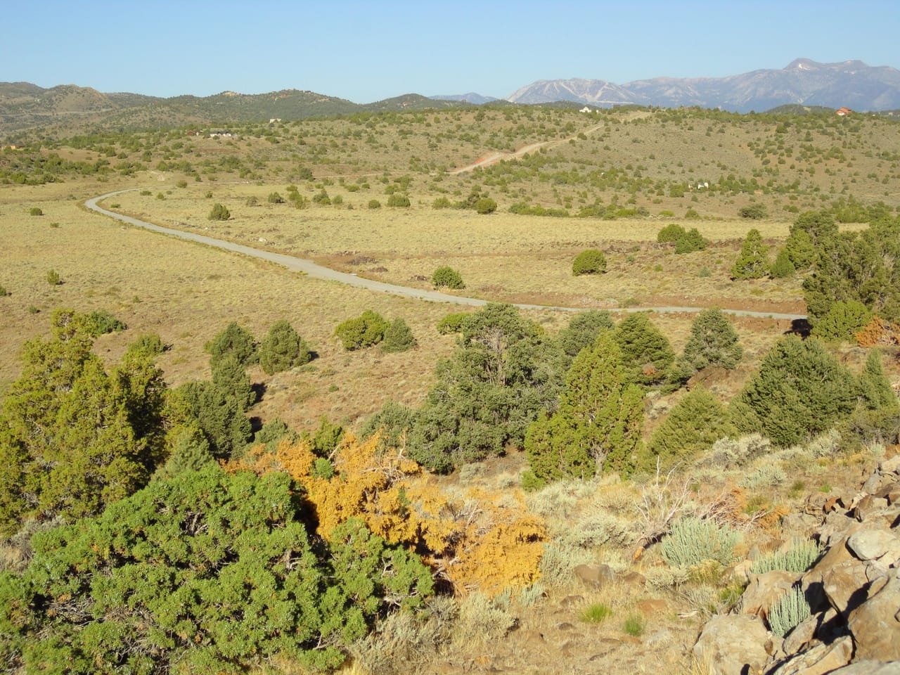 Listing Image 9