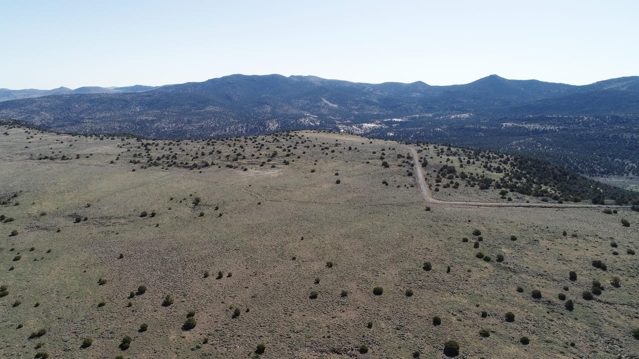 Listing Image 53