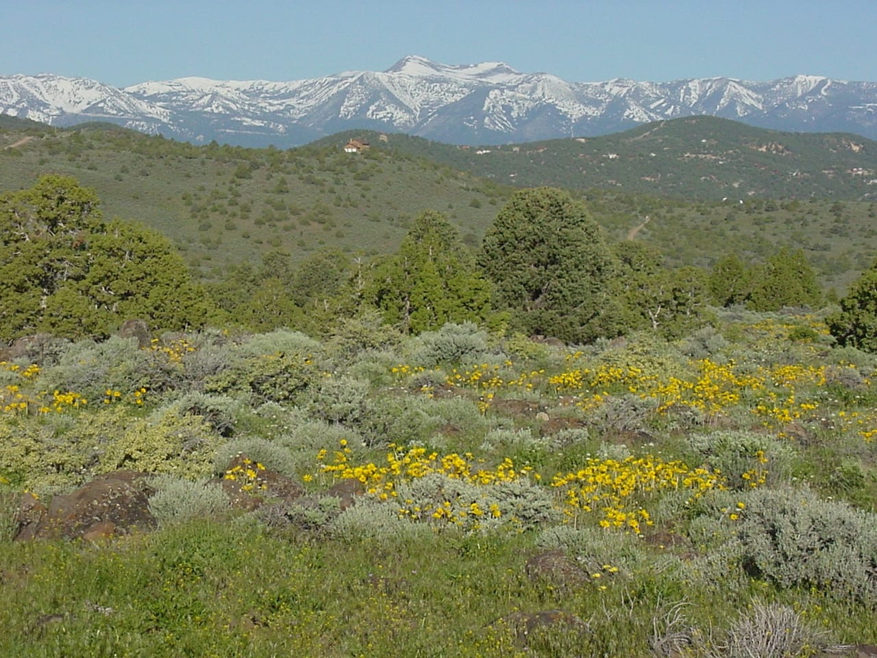 Listing Image 14