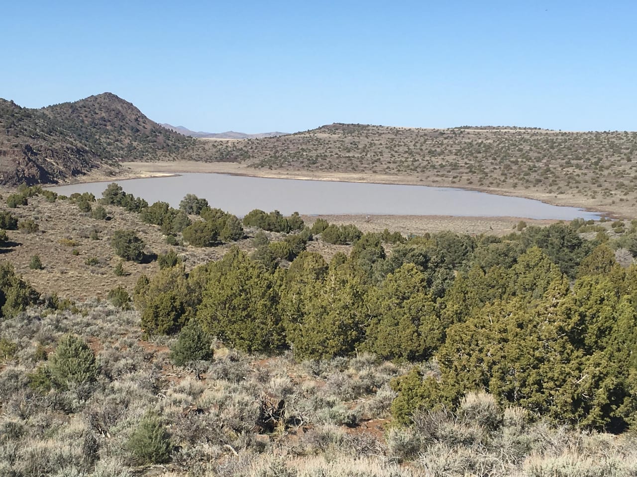 Listing Image 18