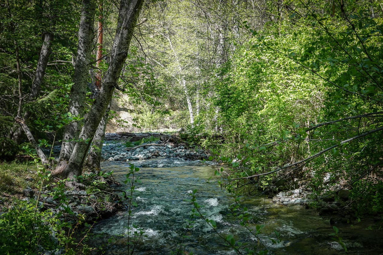 Listing Image 14
