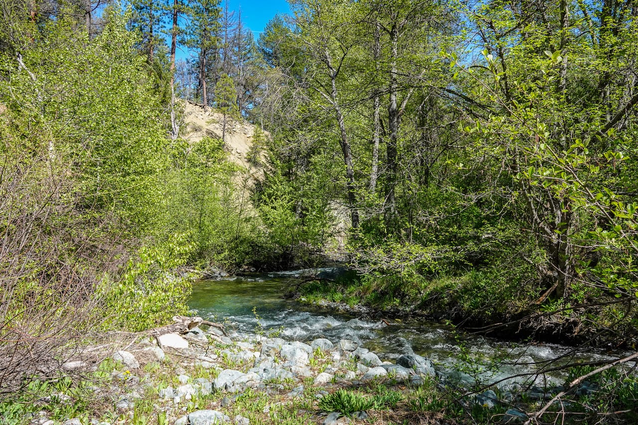 Listing Image 25