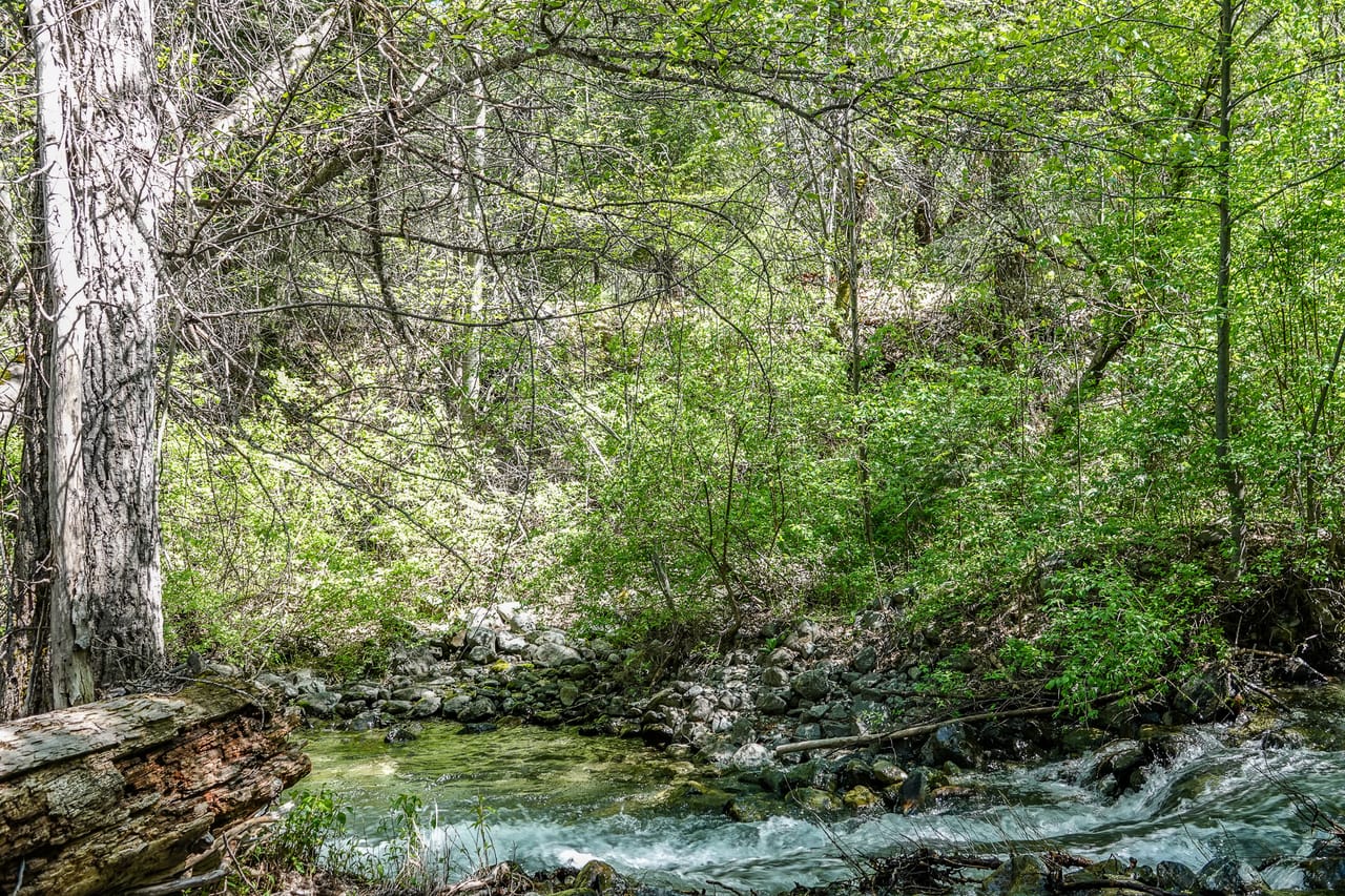 Listing Image 9