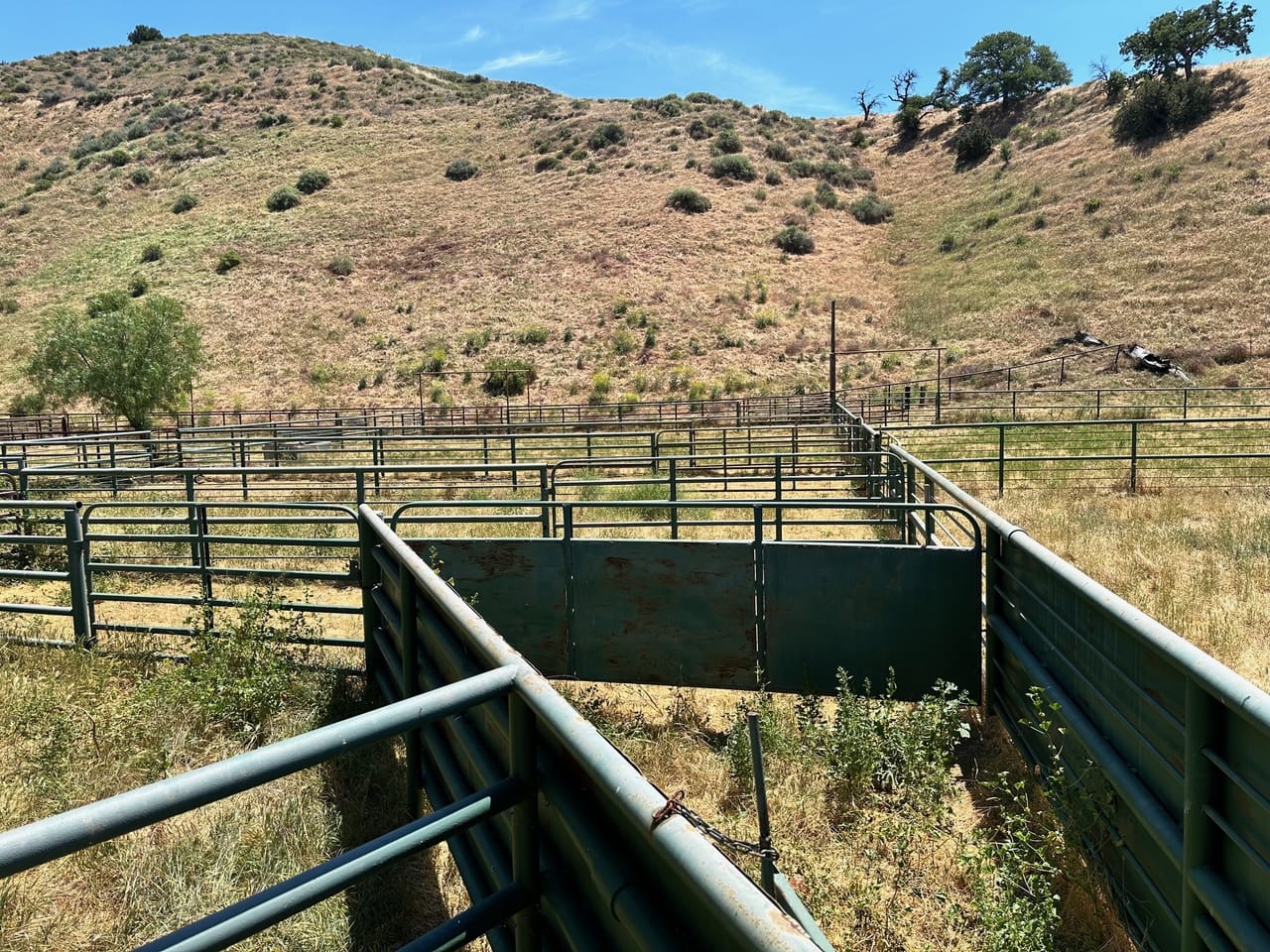 Listing Image 11