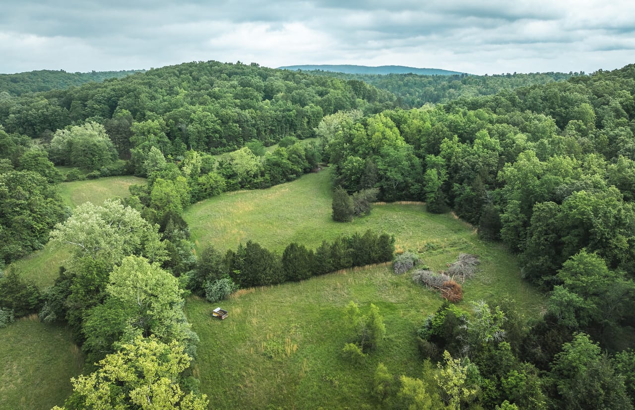 Listing Image 80