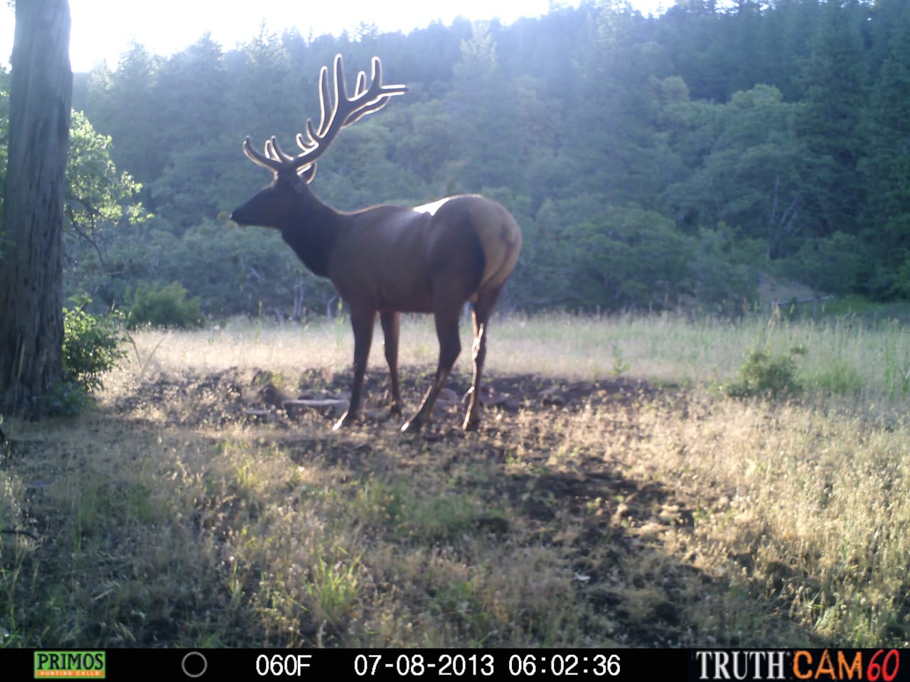 Listing Image 34