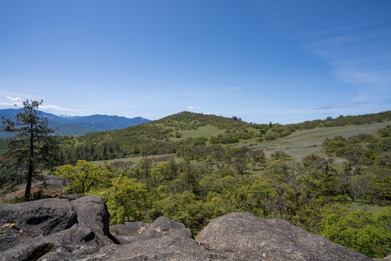 Listing Image 69