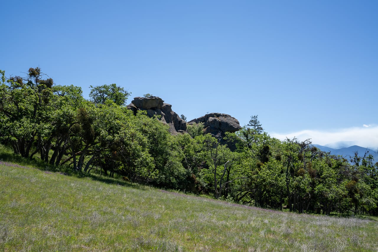 Listing Image 75