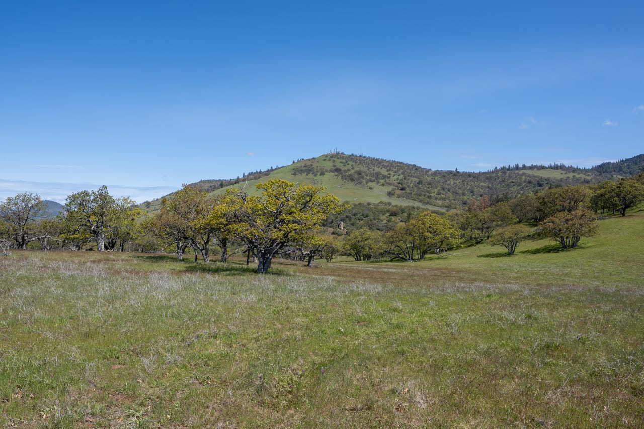 Listing Image 48