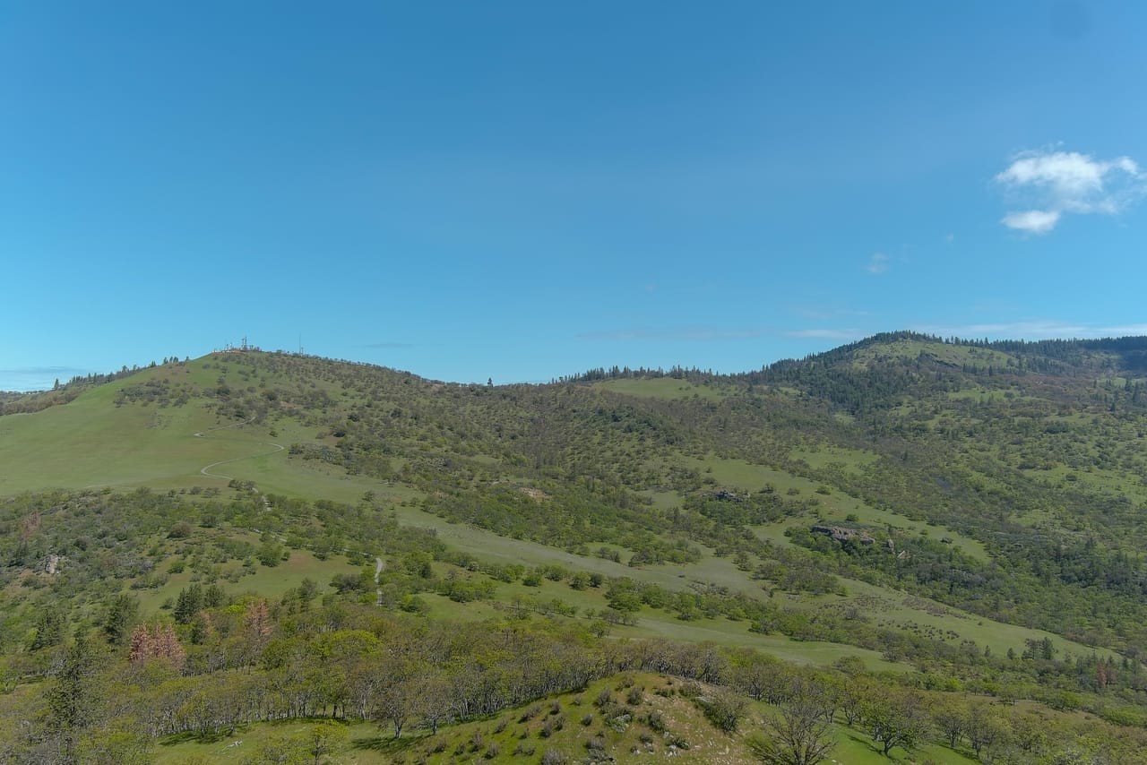 Listing Image 76