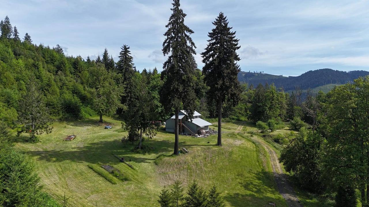 Listing Image 9