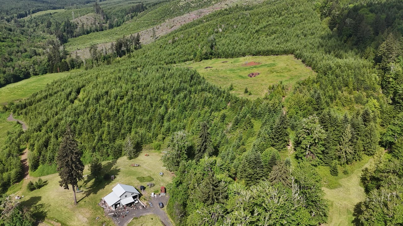 Listing Image 80