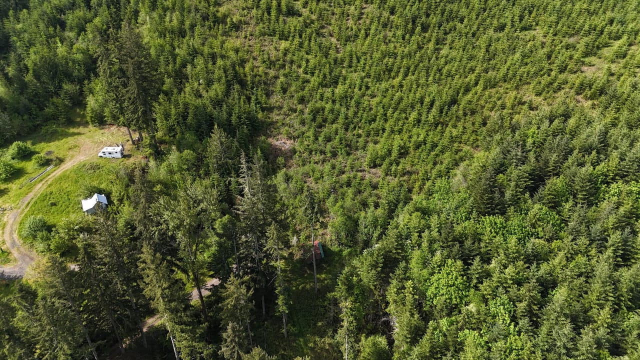 Listing Image 82