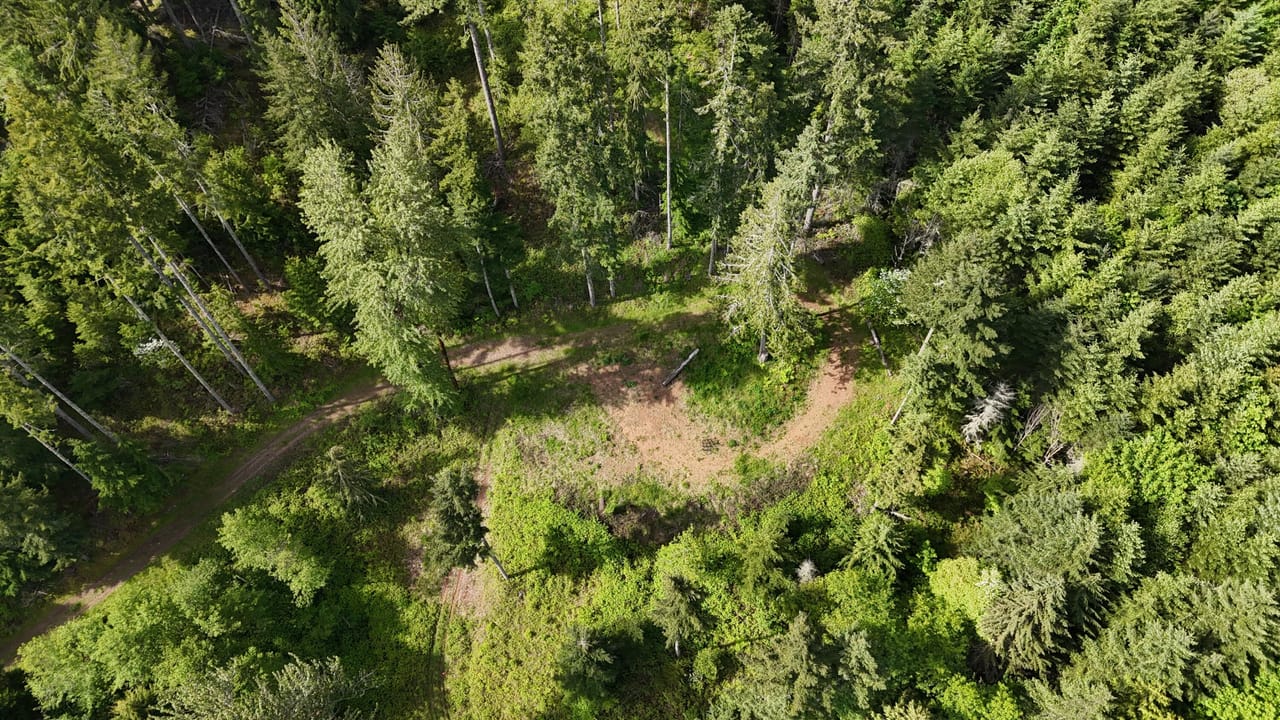 Listing Image 83