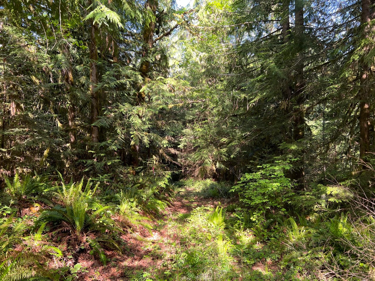 Listing Image 56