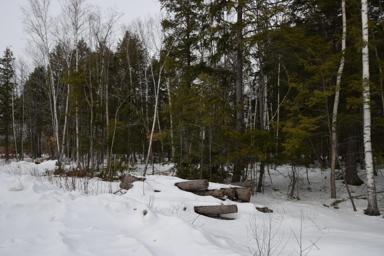 Lot #9 Katahdin Way